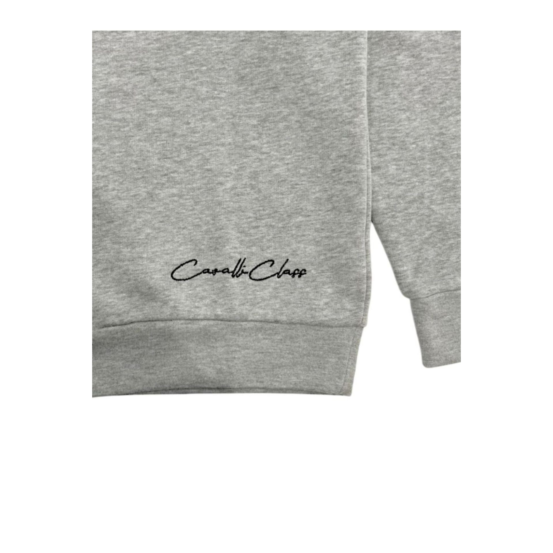 Sudadera Cavalli